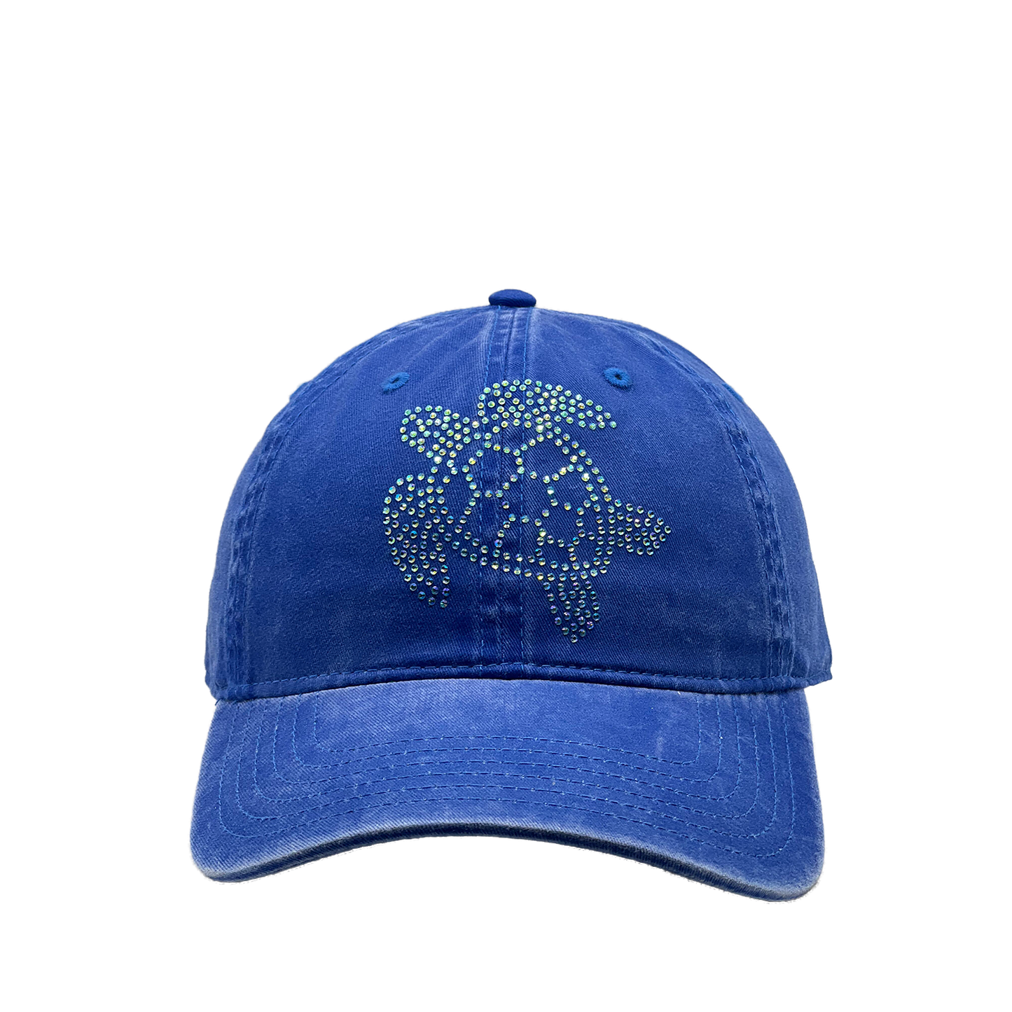 Sea Turtle